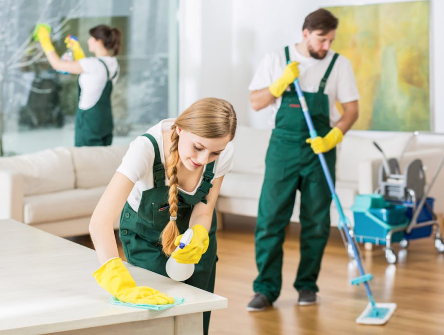 cleansing services