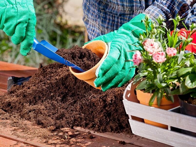 gardening