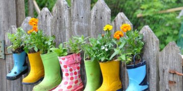 Blossoming Britain: how gardening allows us to grow