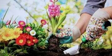 Farm Babe: Get ‘grimy’ on Saturday for World Naked Gardening Day