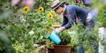 Spring Gardening Show: Wet Soil, Non-Blooming Bulbs, Combating Moles