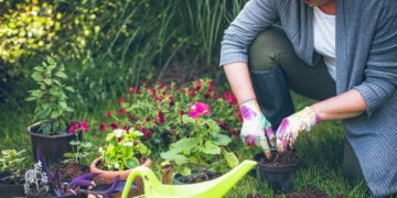 Gardening season off to a past due begin