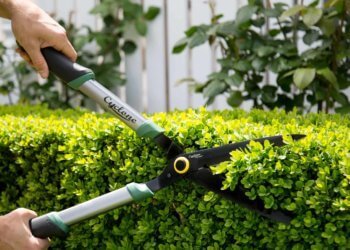 Tools, Attitude, And Good Old Efficiency: Solutions For Aging Gardeners