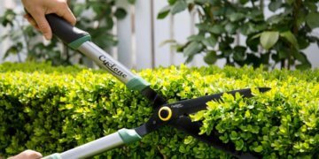 Tools, Attitude, And Good Old Efficiency: Solutions For Aging Gardeners