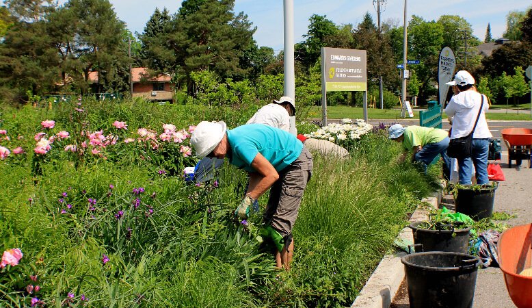 Gardening