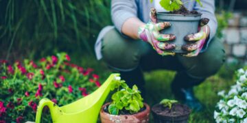 Gardening Tips To Grow the Best Flowers
